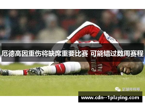 厄德高因重伤将缺席重要比赛 可能错过数周赛程 厄德高因重伤将缺席重要比赛 可能错过数周赛程
