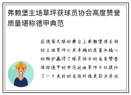 弗赖堡主场草坪获球员协会高度赞誉质量堪称德甲典范